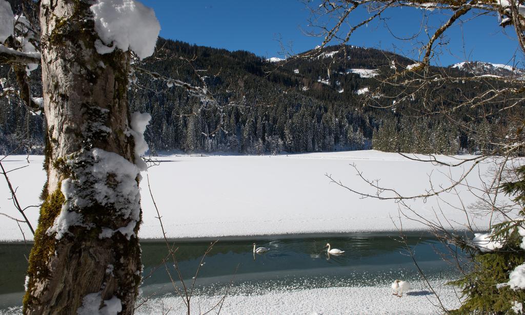 Apartmenthaus Mountainvista Kleinarl Buitenkant foto